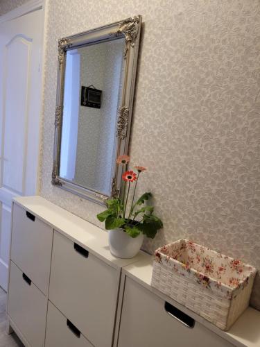 a bathroom with a mirror and a plant on a dresser at City apartment in Jelgava