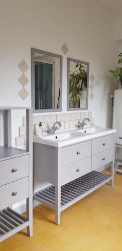 ein Badezimmer mit zwei Waschbecken und zwei Spiegeln in der Unterkunft Chez Albert et Karine in Sauve
