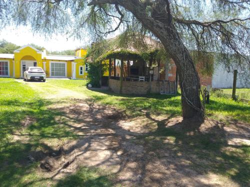 Una casa amarilla con un árbol delante. en La Candela en Gualeguaychú