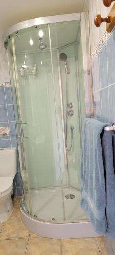 a shower with a glass door in a bathroom at Le Mas du Rouquan in Vidauban