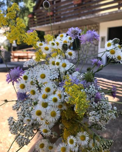 a bouquet of white and purple flowers at SanMari_forest in Ledenice