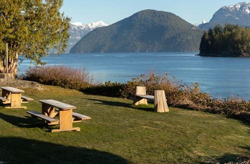 three picnic tables sitting on the grass near a body of water at Backeddy Resort and Marina in Egmont