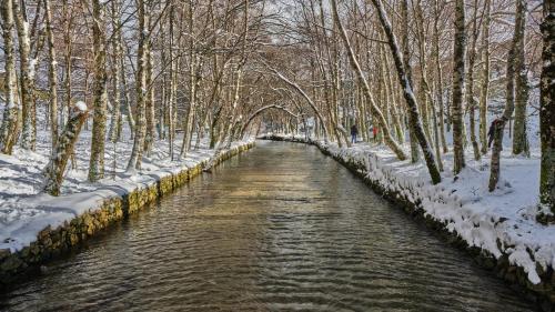 a river with snow on the branches of trees at Chalé de Montanha com sons de rio in Cortes do Meio