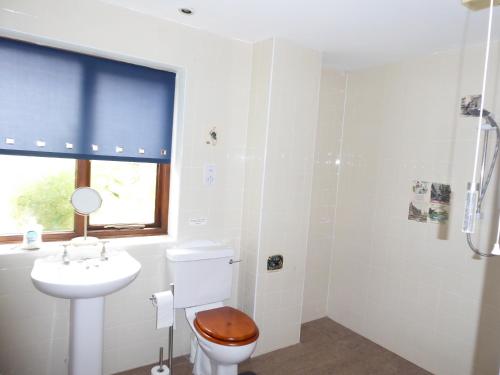 a bathroom with a toilet and a sink and a window at The Catkins, Grove flock farm in Diss