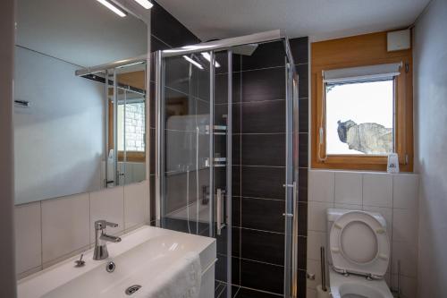 ベットマーアルプにあるBettmerlodgeのバスルーム(トイレ、洗面台、シャワー付)