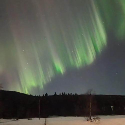 an image of the northern lights in the sky at Villa Fregn in Ljørdal