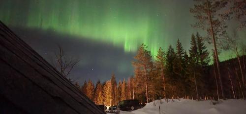 an aurora in the sky over a forest of trees at Villa Fregn in Ljørdal