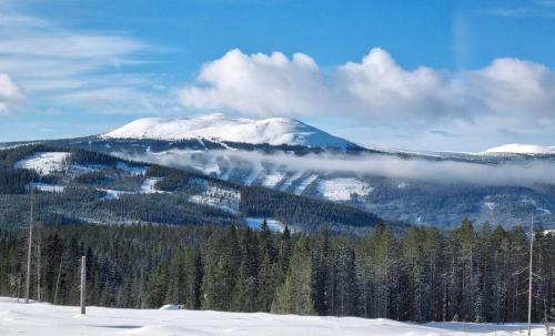 a snow covered mountain in the distance with trees and clouds at Villa Fregn in Ljørdal