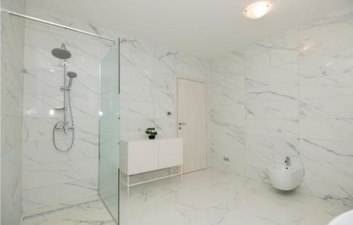 a white bathroom with a shower and a toilet at Gorgeous Home In Grubine in Grubine