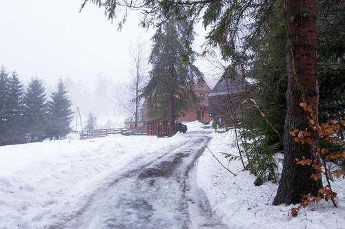 a snow covered road in front of a house at Gościniec Tokarzonka in Istebna