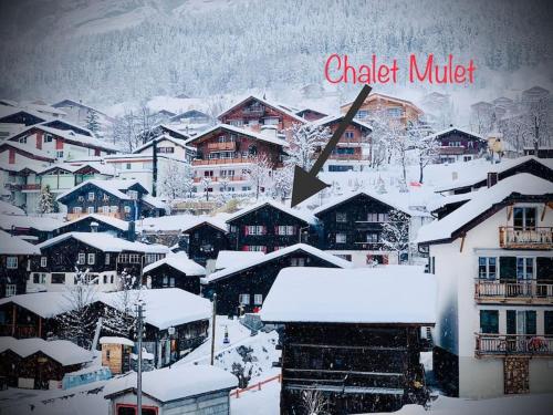 a town covered in snow with houses and buildings at Luxury & Cosy 3.5 rooms apartment in almost 300 years old Chalet in Leukerbad