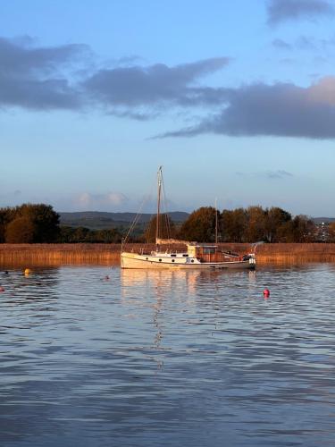 a boat sitting on the water in the water at Church View a first floor apartment in the heart of historic Topsham in Topsham