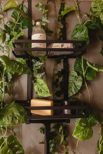 a rack with four bottles of hair products and a plant at Casita in Sint Maarten