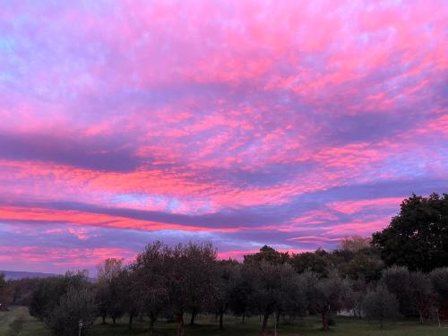 um céu rosa com árvores num campo em Sibolla Holidays em Altopascio