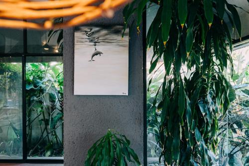 a picture of a bird on a wall with plants at Casa Sirena in Ixtapa