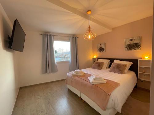Schlafzimmer mit einem Bett, einem TV und einem Fenster in der Unterkunft La Maison de Jade in La Roche-de-Glun