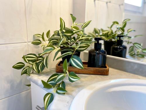 a plant sitting on a bathroom counter next to a sink at Familienfreundliches Ferienhaus in 5 min zum Strand mit Terrasse und kostenlosem Parkplatz in Cuxhaven