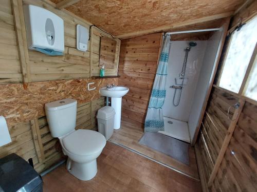 a bathroom with a toilet and a sink and a shower at Rum Bridge Fisheries "The Cabin" in Clare