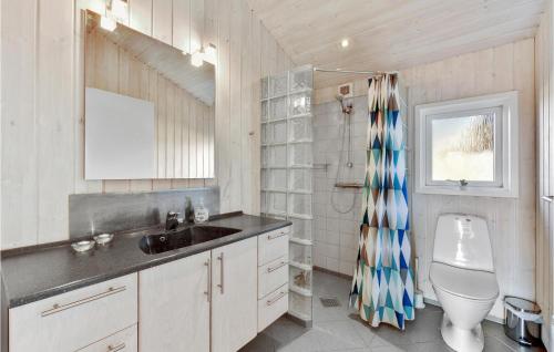 a bathroom with a sink and a toilet at Pet Friendly Home In Hvide Sande With Wifi in Havrvig