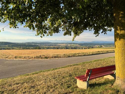 a red bench sitting under a tree next to a road at Bed & Breakfast Gaetzi in Windlach