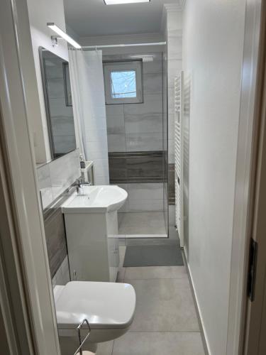 A bathroom at Premium Apartment Șagului