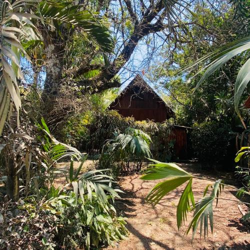 Cabuya Tropical Cabin – Photos 4