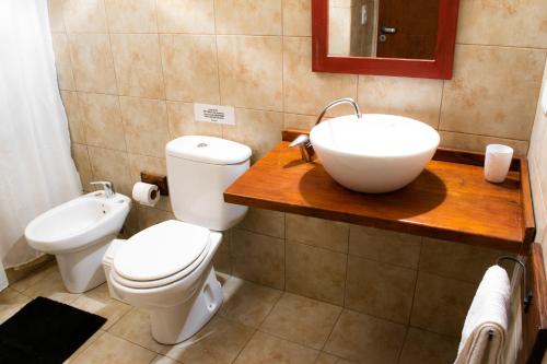 bagno con servizi igienici e lavandino di Paraiso Patagónico Bungalows and Apart Hotel a El Calafate