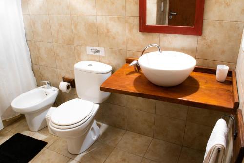 a bathroom with a toilet and a sink at Paraiso Patagónico Bungalows and Apart Hotel in El Calafate