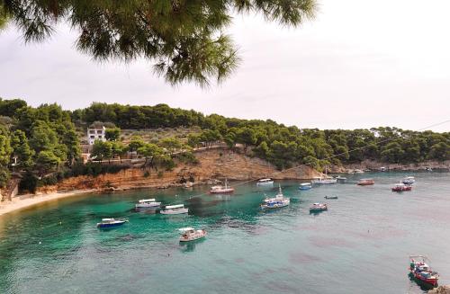 a bunch of boats in a body of water at Pension Dimitris in Votsi