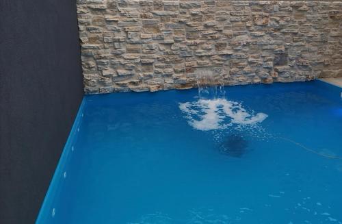 Un dauphin est dans l'eau devant un mur dans l'établissement Apartment"Tica"Zaton with pool, à Zaton