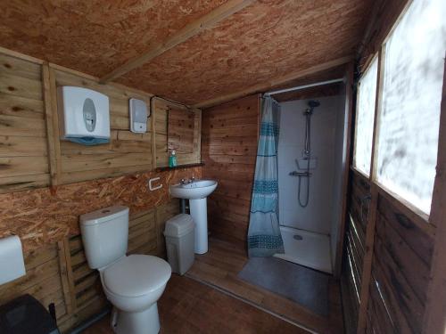 a bathroom with a toilet and a sink and a shower at The Meadows Bell Tents in Clare