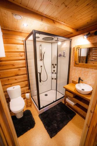a bathroom with a shower and a toilet and a sink at Viesu nams SAKNĪTES in Dzērbene