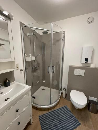 La salle de bains est pourvue d'une douche, de toilettes et d'un lavabo. dans l'établissement Appartement Luxembourg centre, à Luxembourg