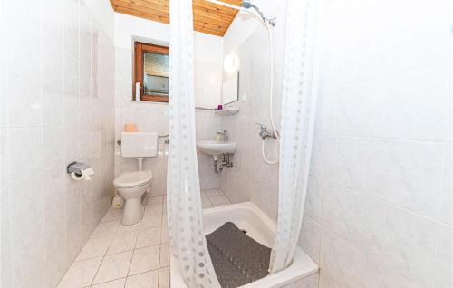 La salle de bains est pourvue d'une douche, de toilettes et d'un lavabo. dans l'établissement 1 Bedroom Amazing Apartment In Mastrinka, à Trogir