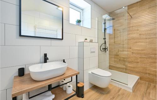 a bathroom with a sink and a toilet and a shower at Gorgeous Home In Bjelovar With Sauna in Bjelovar