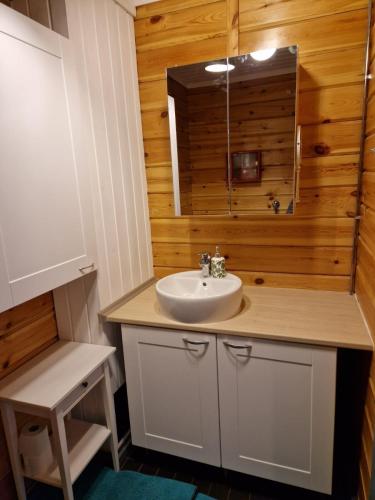 a bathroom with a sink and a mirror at Katiskosken joenrantamökki in Hämeenlinna