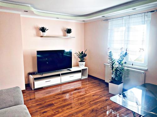 ein Wohnzimmer mit einem Flachbild-TV in der Unterkunft Extrem ruhiges Apartment- Leipzig Ost (A14) in Leipzig
