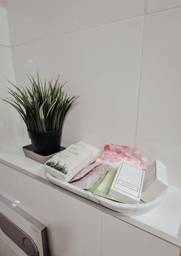 a shelf with two books and a potted plant at Silver Star Zlatibor in Zlatibor
