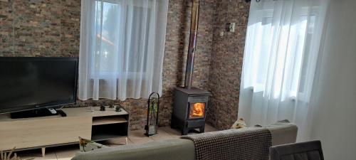 a living room with a fireplace and a television at Casa dos avós in Canas de Senhorim