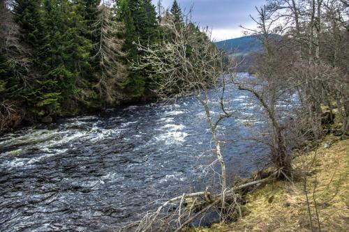 a river in the middle of a forest at Golden Eagle Lodge in Kingussie