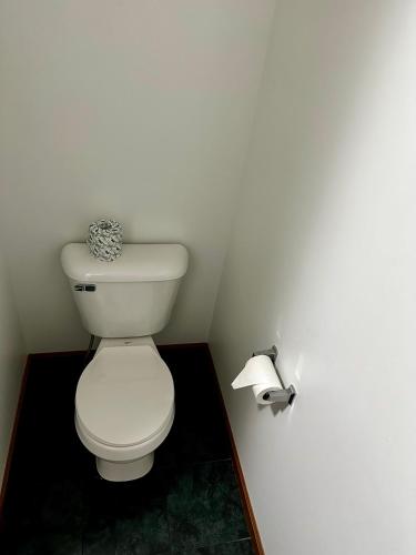 a bathroom with a toilet and a roll of toilet paper at Attica Inn in Attica