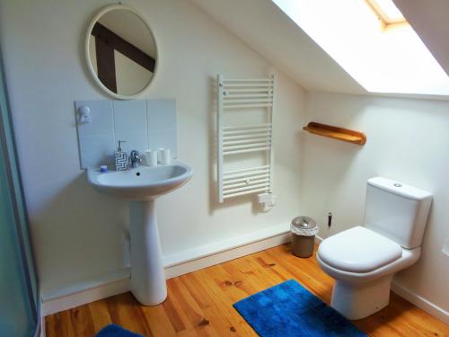 a bathroom with a sink and a toilet and a mirror at La Gicqueliere in Saint-Pair-sur-Mer