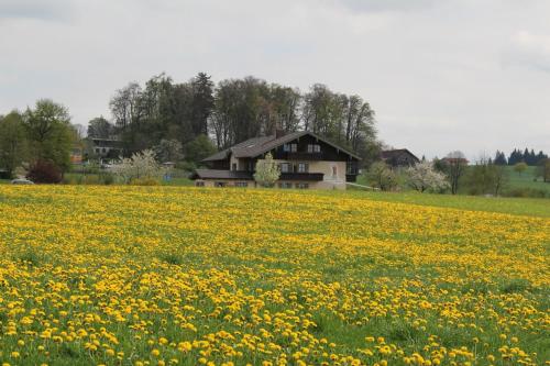 Clădirea în care este situat/ăpensiunea