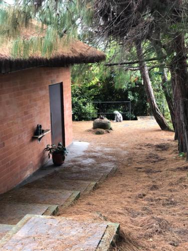 a brick building with a door in a yard at Cabaña Campestre La Rayuela-Fuquene in Fúquene