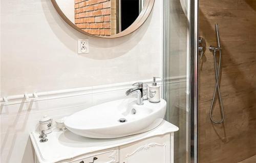 a bathroom with a sink and a mirror and a shower at Beautiful Home In Koscierzyna With Wifi in Kościerzyna