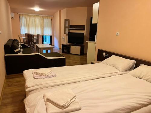 una camera d'albergo con due letti e una televisione di Апартамент Lake a Tryavna