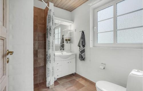 uma casa de banho com um lavatório, um WC e uma janela. em Cozy Home In Vesls With Wifi em Øsløs
