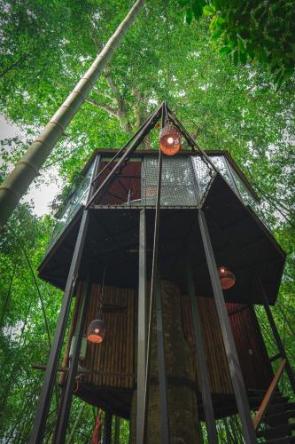 Fotografie z fotogalerie ubytování Amanatu Ecolodge & Spa v destinaci Quimbaya