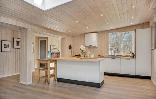 Dapur atau dapur kecil di Beautiful Home In Vejby With Kitchen