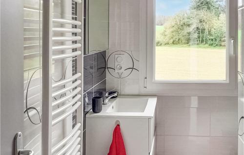 a bathroom with a white sink and a window at 3 Bedroom Awesome Home In Saint-carreuc in Plouguenast Langast